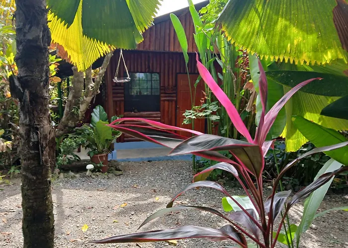 Casa Osa Bella De Arte