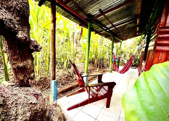 Casa Osa Bella De Arte