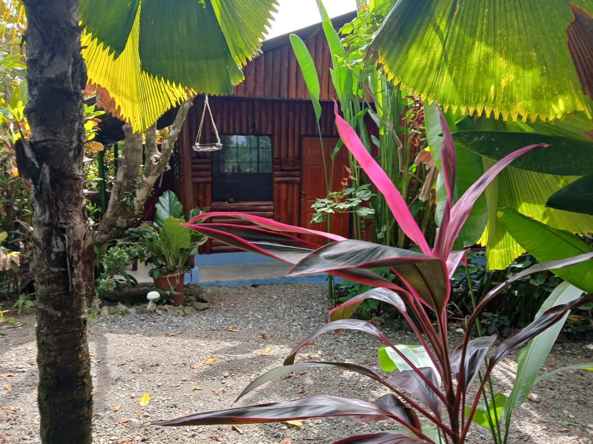 Casa Osa Bella De Arte * Puerto Jiménez